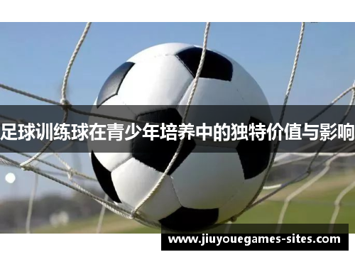 足球训练球在青少年培养中的独特价值与影响
